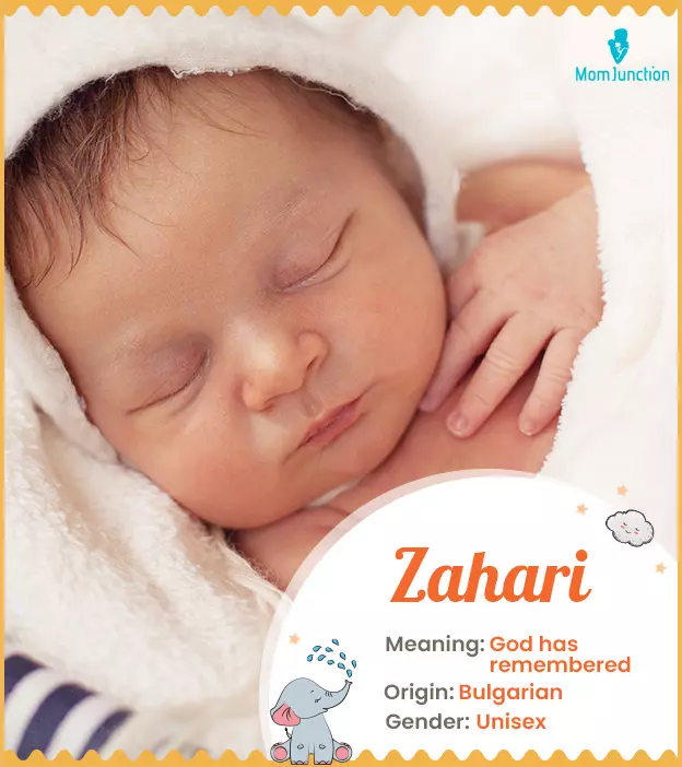 Zahari Name, Meaning, Origin, History, And Popularity_image