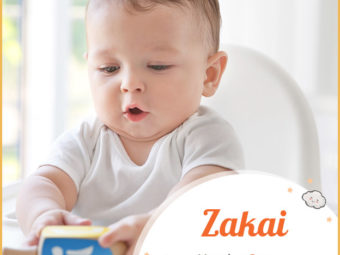 Zakai, the one with a pure heart