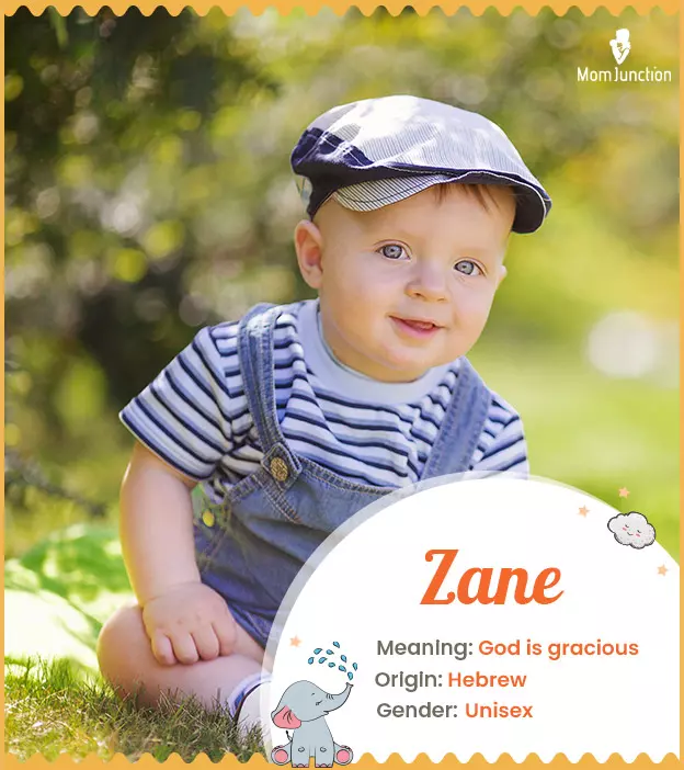 Zane: Name Meaning, Origin, History, And Popularity | MomJunction