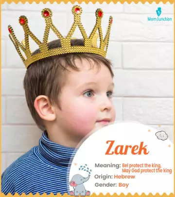 Explore Zarek: Meaning, Origin & Popularity_image