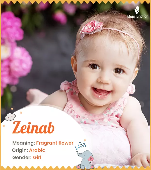 Zeinab, meaning frag