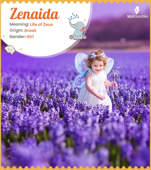 Zenaida: Name Meaning, Origin, History, And Popularity ...