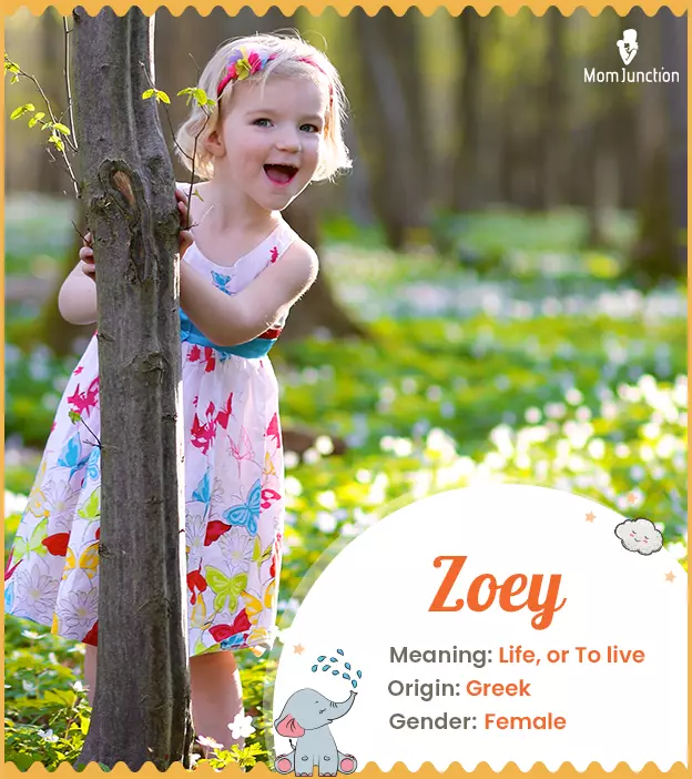 Explore Zoey: Meaning, Origin & Popularity | MomJunction