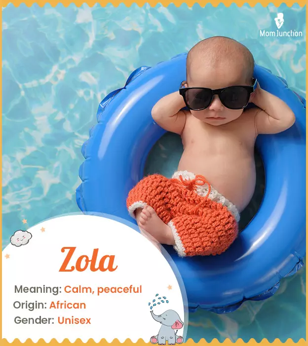 Zola Meaning, Origin, History, And Popularity | MomJunction