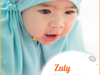 Zuly means strength
