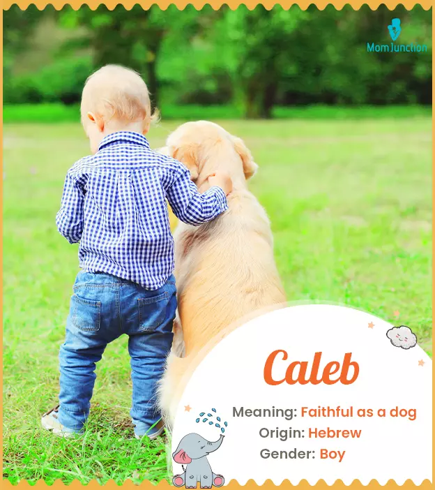 Caleb: Name Meaning, Origin, History, And Popularity | MomJunction