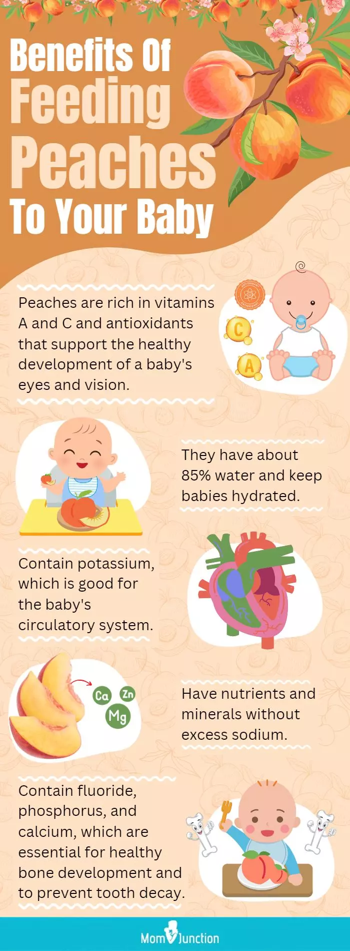 benefits of feeding peaches to your baby (infographic)