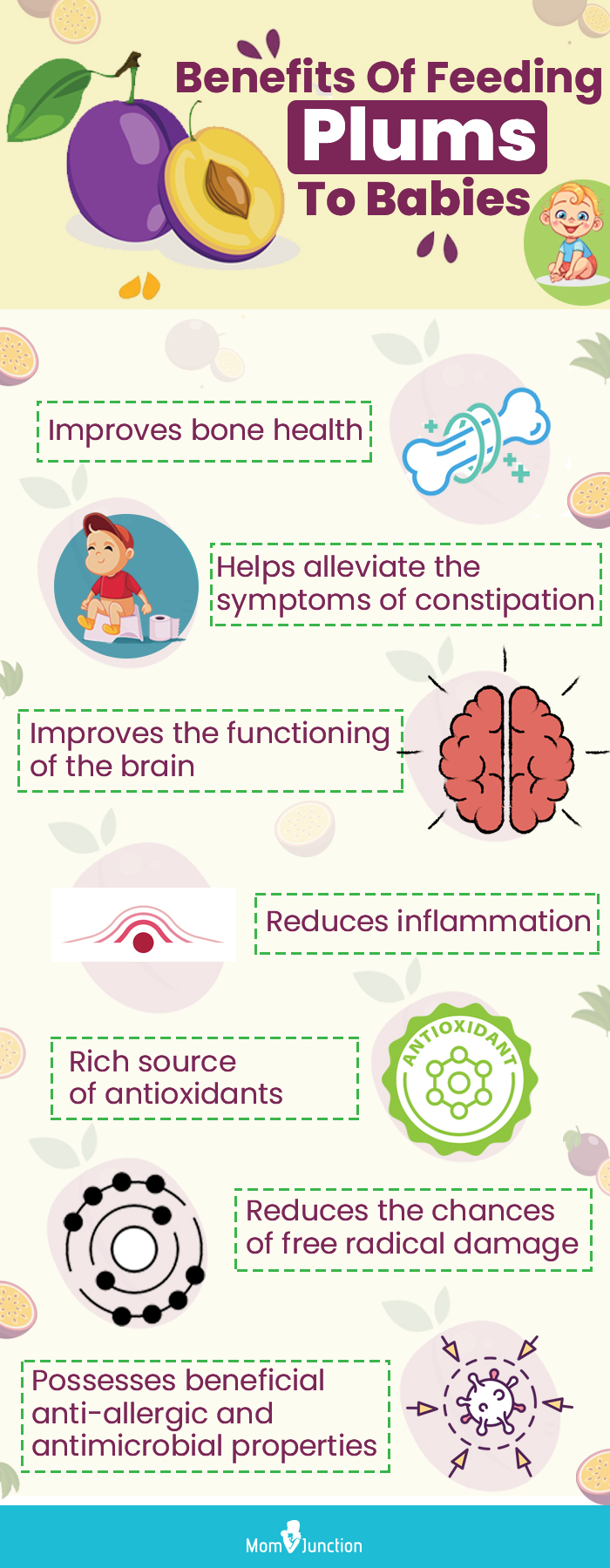 benefits of feeding plums to babies (infographic)
