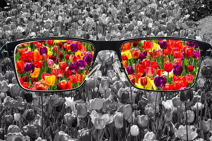 Color Blindness