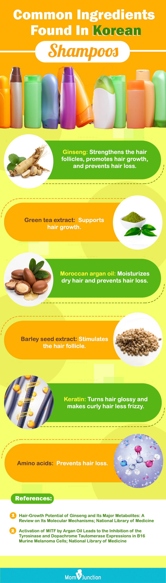 Common Ingredients Found In Korean Shampoos (infographic)