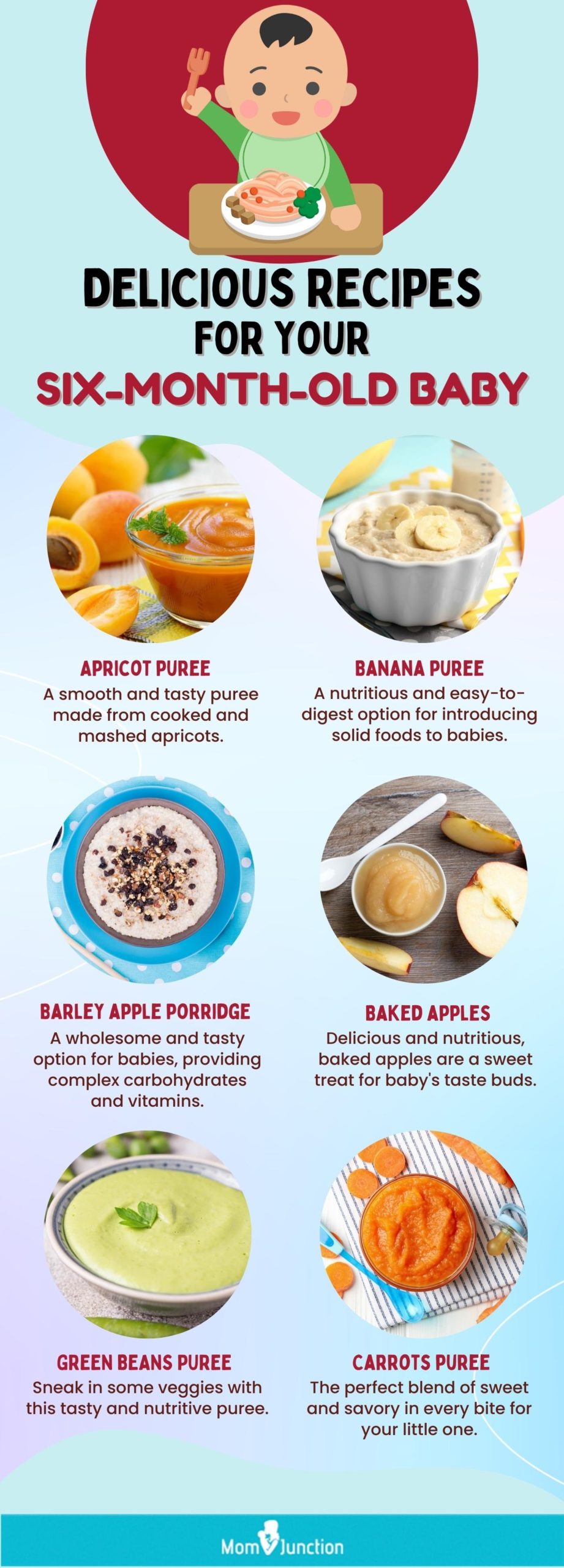 delicious recipes for your six month old baby (infographic)