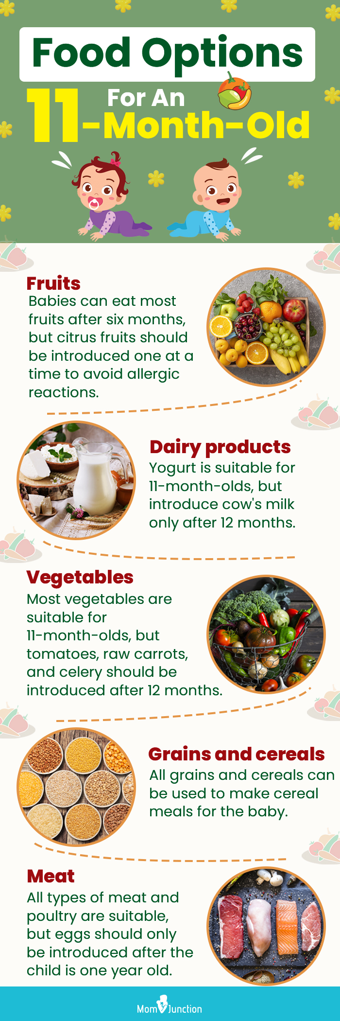 food options for an 11 month old (infographic)