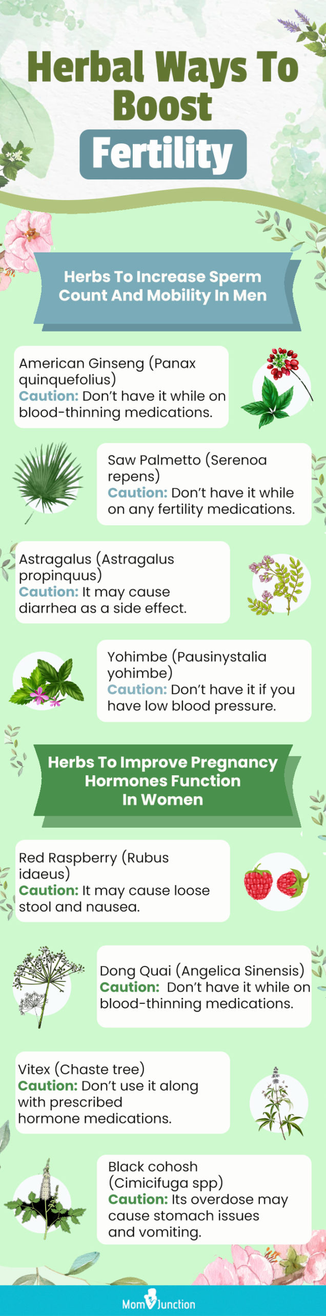 herbal ways to boost fertility [infographic]