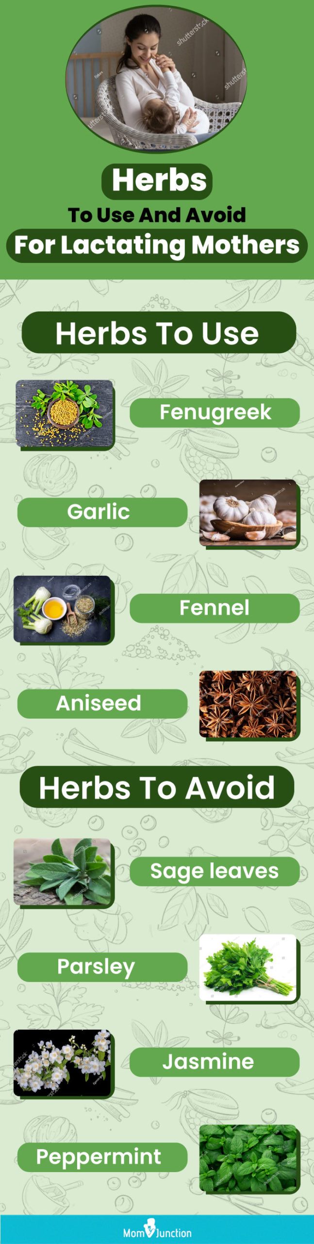 herbs to use and avoid for lactating mothers [infographic]