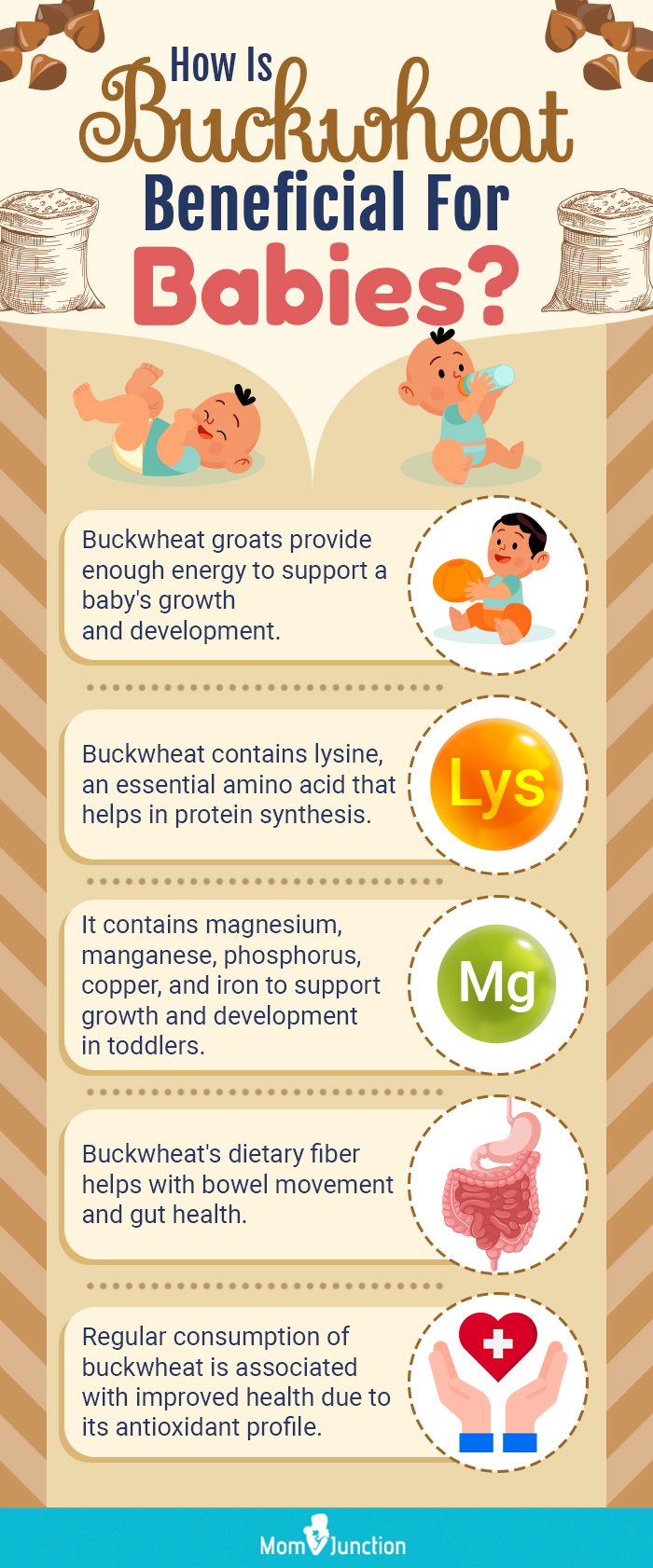 how is buckwheat beneficial for babies (infographic)