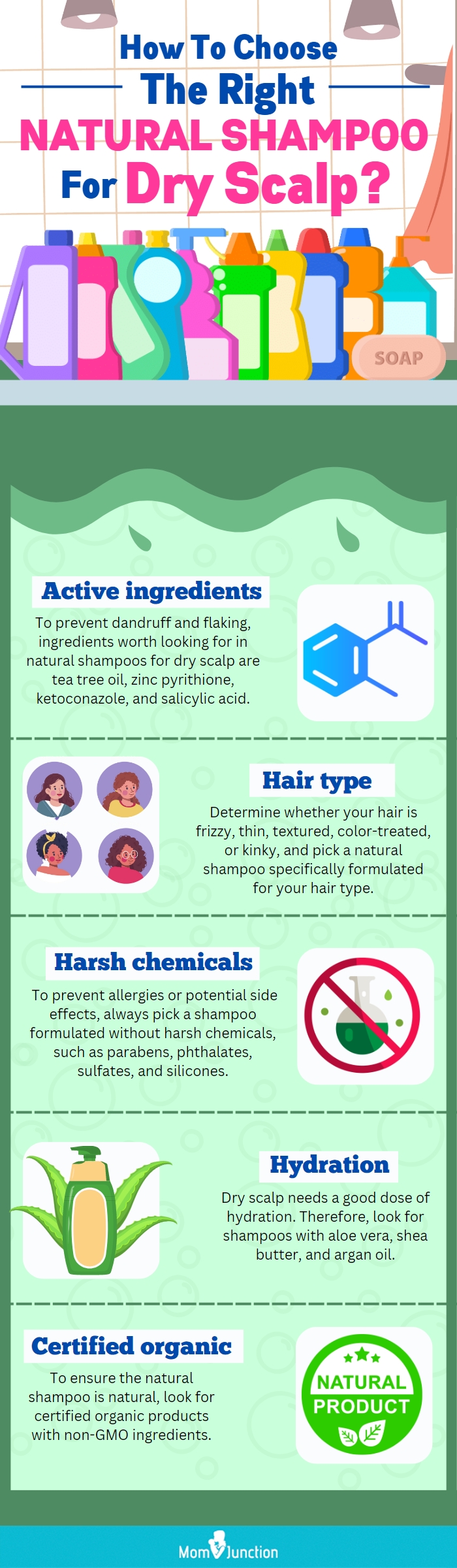 How To Choose The Right Natural Shampoo For Dry Scalp (infographic)