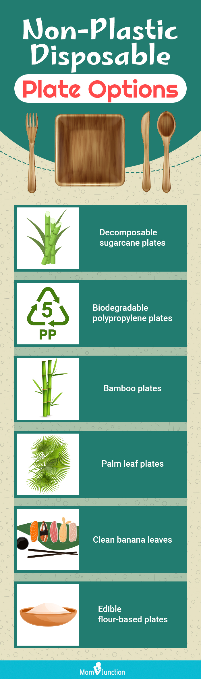 Non-Plastic Disposable Plate Options
