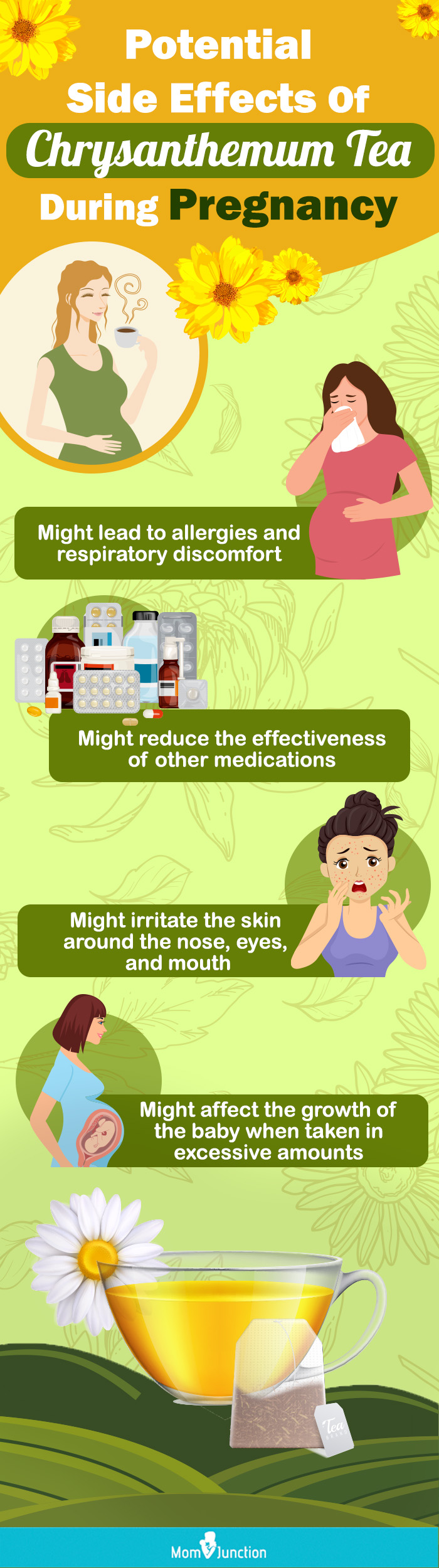 potential side effects of chrysanthemum tea during pregnancy [infographic]