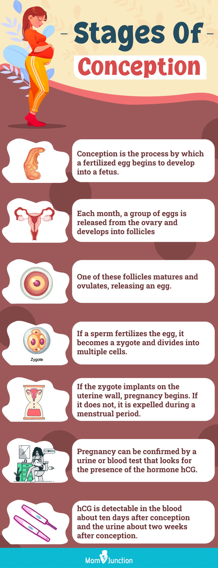 stages of conception changes (infographic)