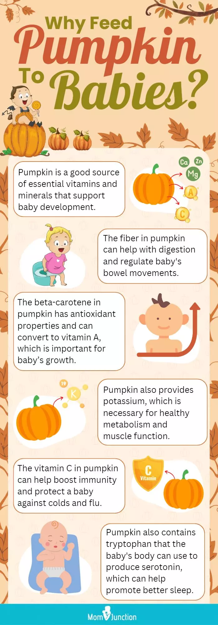 why feed pumpkin to babies (infographic)