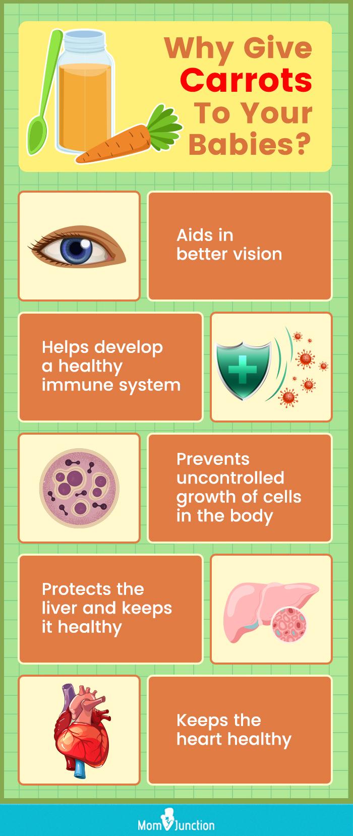 Carrot For Babies 11+ Nutritious And EasyToMake Recipes