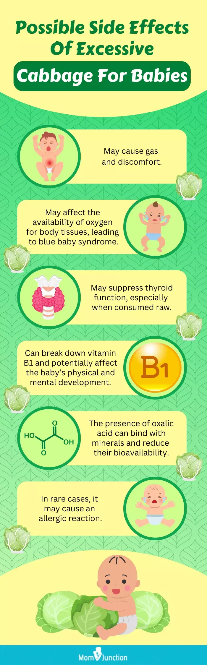 side effects of giving excessive cabbage to babies (infographic)