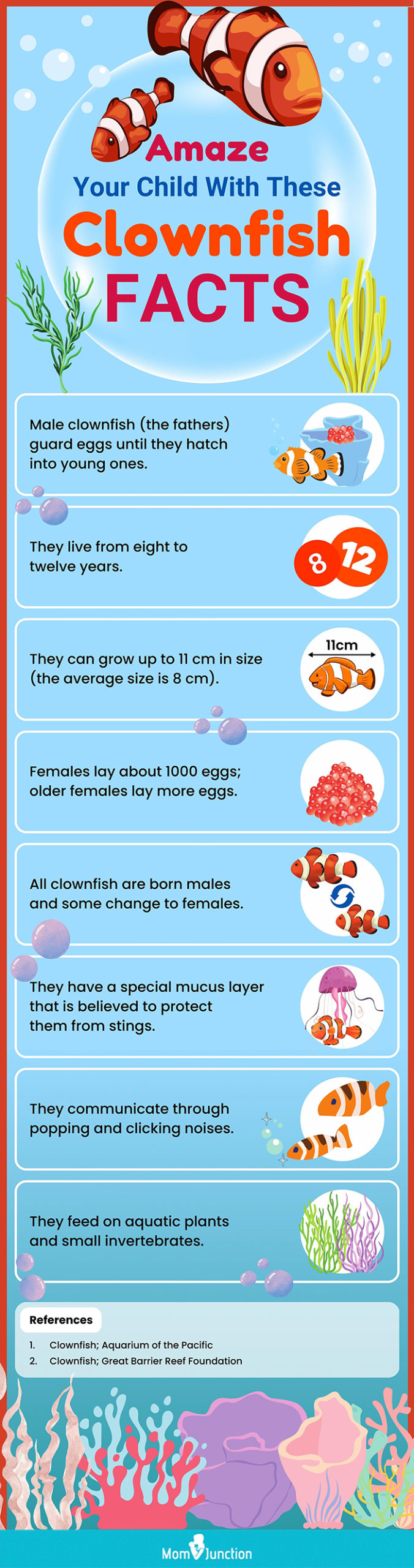 amaze your child with these clownfish facts (infographic)