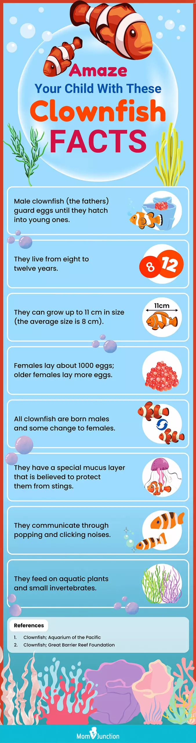 amaze your child with these clownfish facts (infographic)