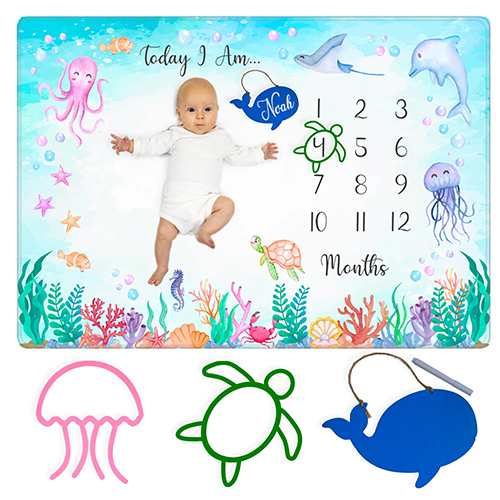 Amity Baby Monthly Milestone Blanket