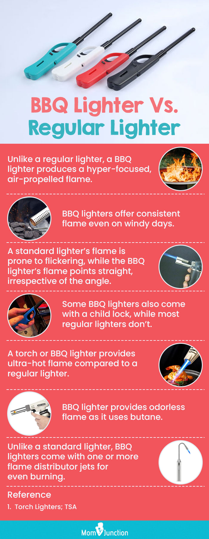BBQ Lighter Vs. Regular Lighter (infographic)