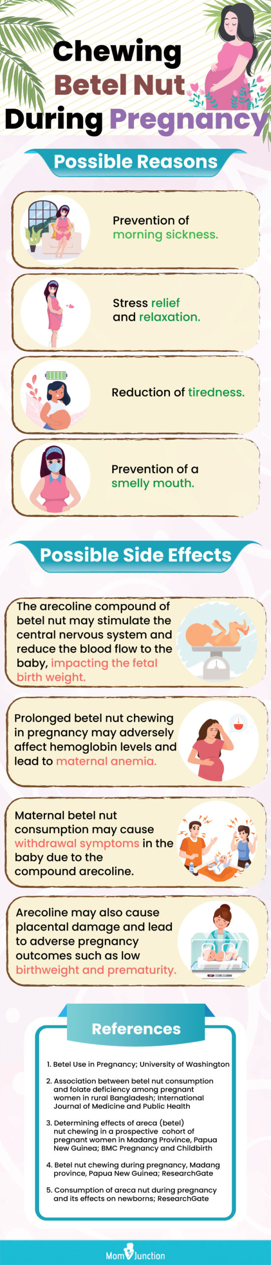 chewing betel nut during pregnancy (infographic)