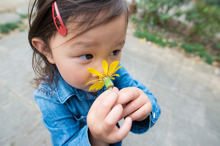 Children can exercise smell through fragrances