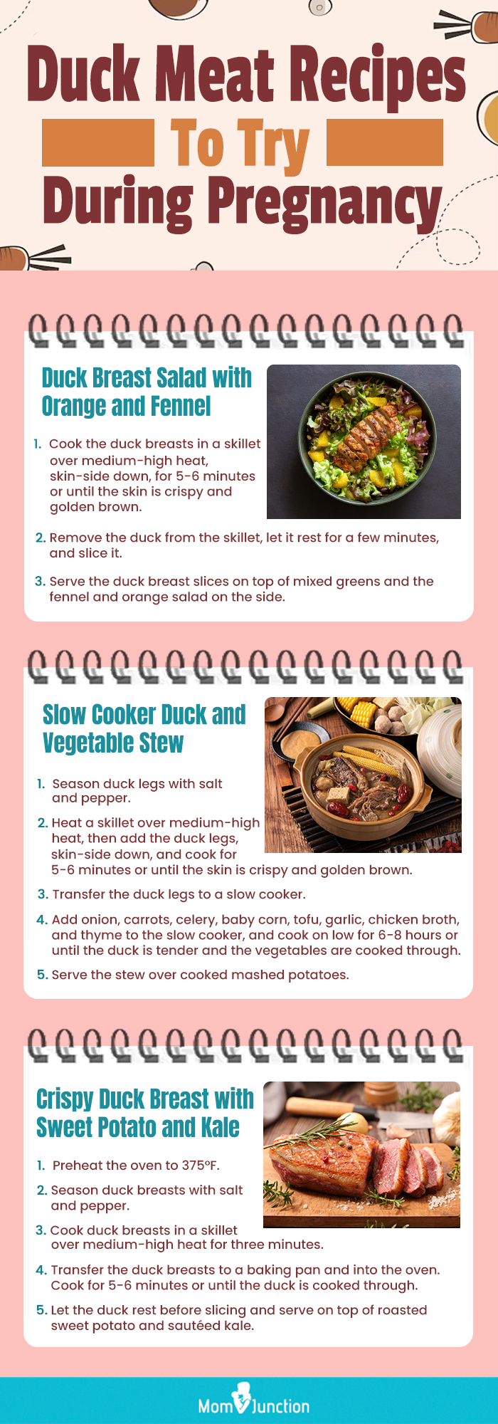 duck meat recipes to try during pregnancy (infographic)