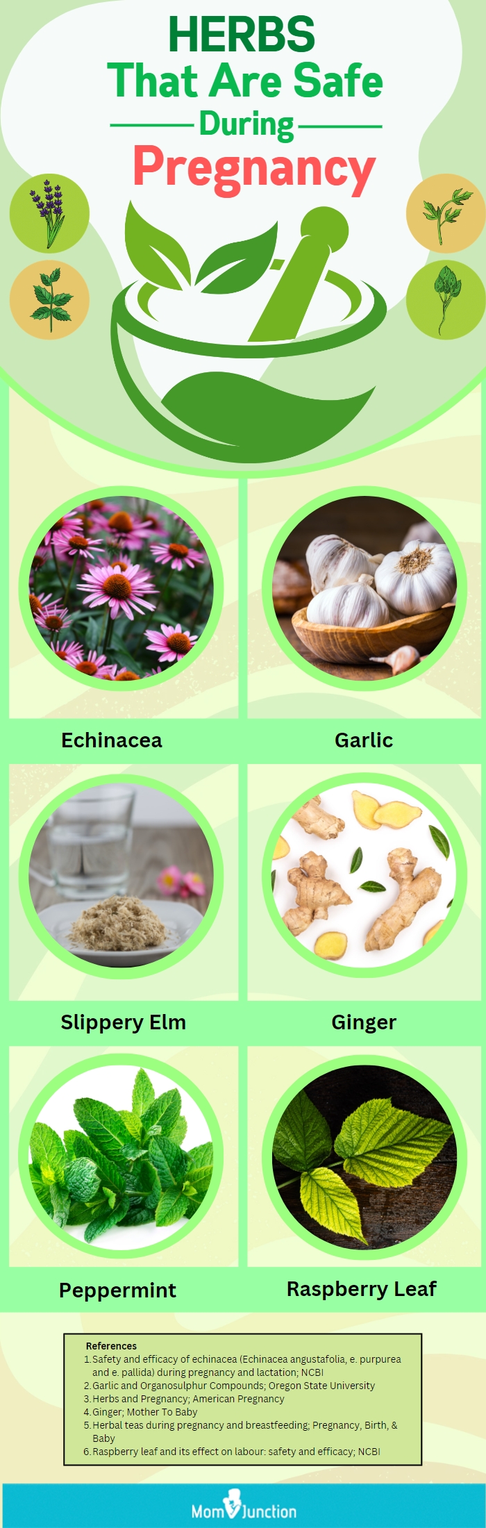 herbs that are safe during pregnancy (infographic)