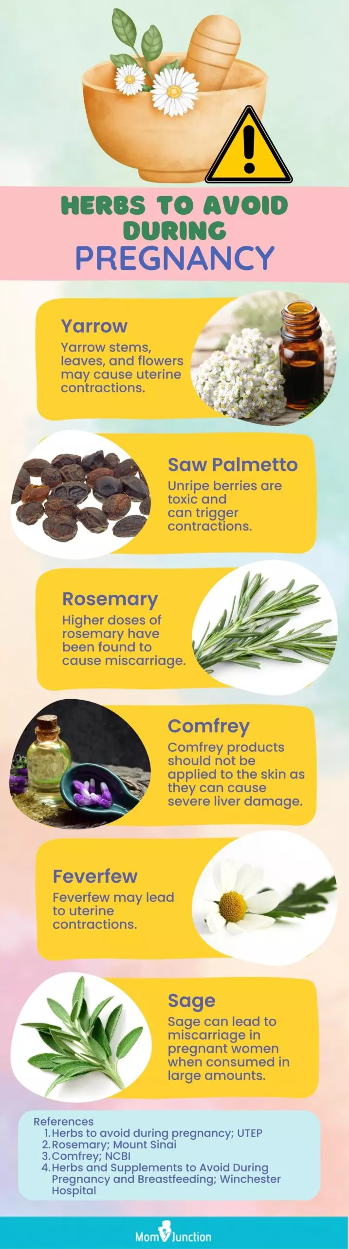 herbs to avoid during pregnancy (infographic)