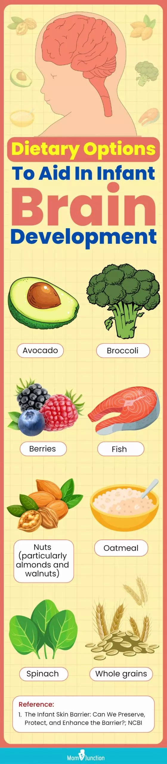 dietary options to aid in infant brain development (infographic)