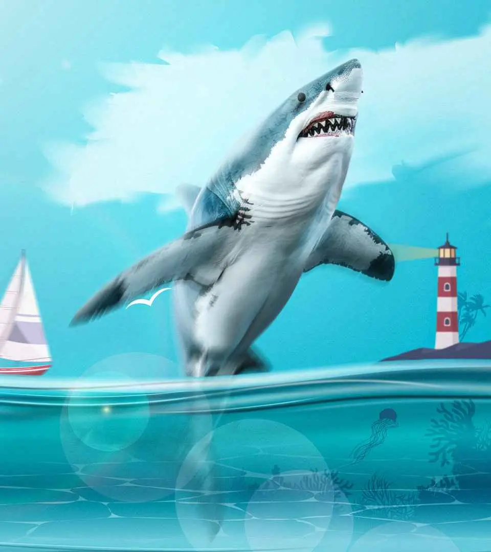 50 Fun And Interesting Shark Facts For Kids To Know_image