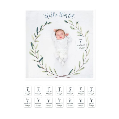 Lulujo Baby Milestone Blanket And Card Set