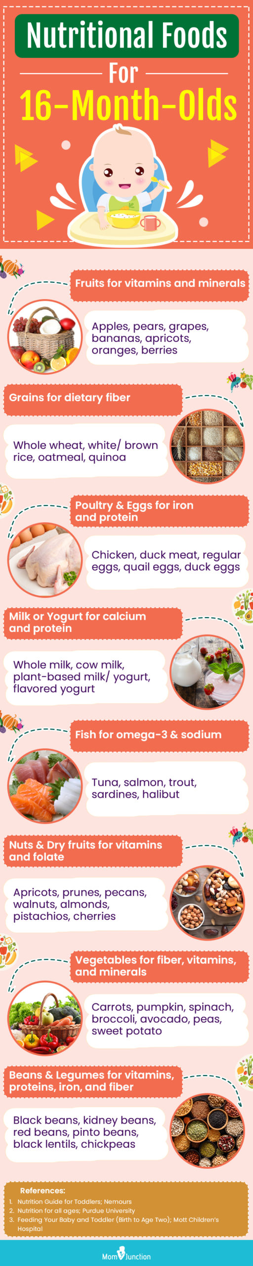 nutritional foods for 16 month olds (infographic)