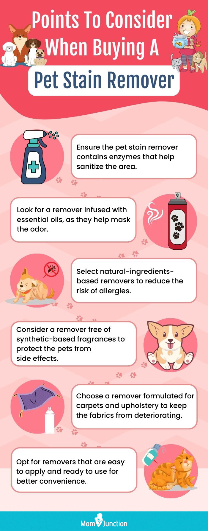 Points To Consider When Buying A Pet Stain Remover (infographic)