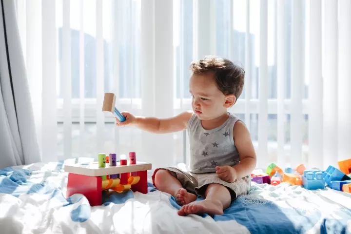 Pounding Toys