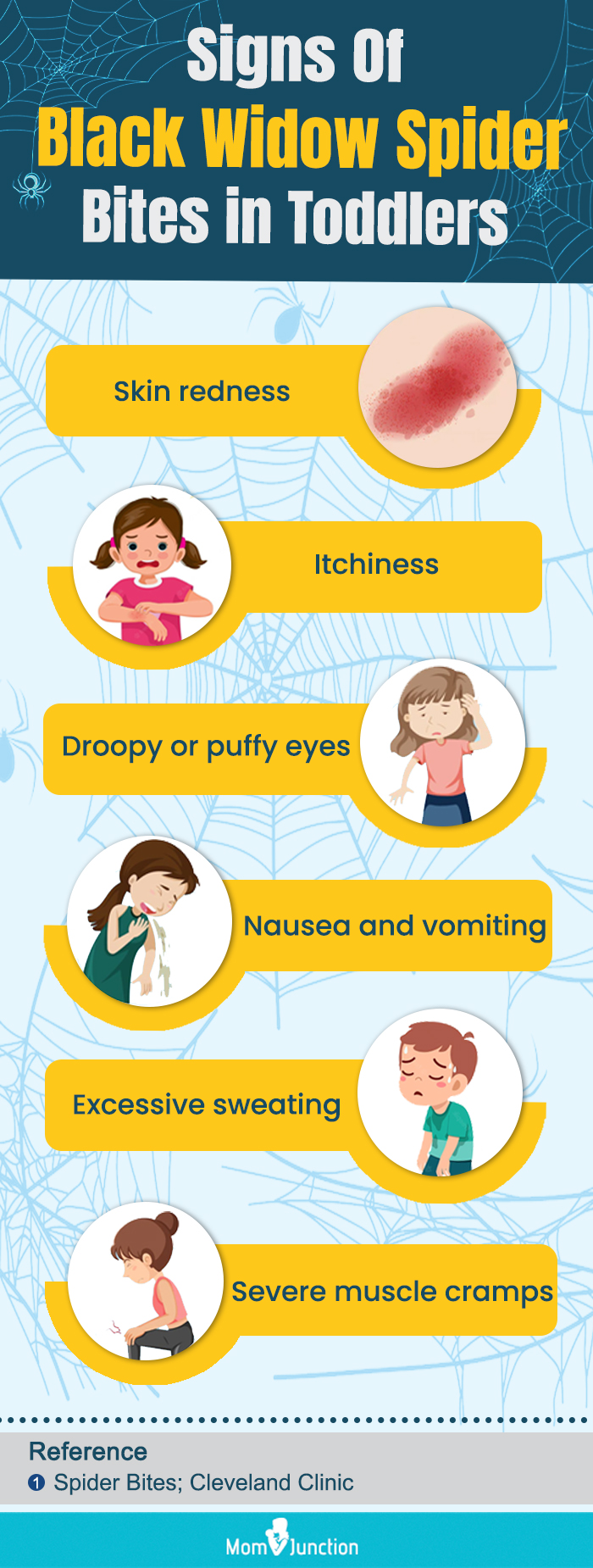 signs of black widow spider bites in toddlers (infographic)