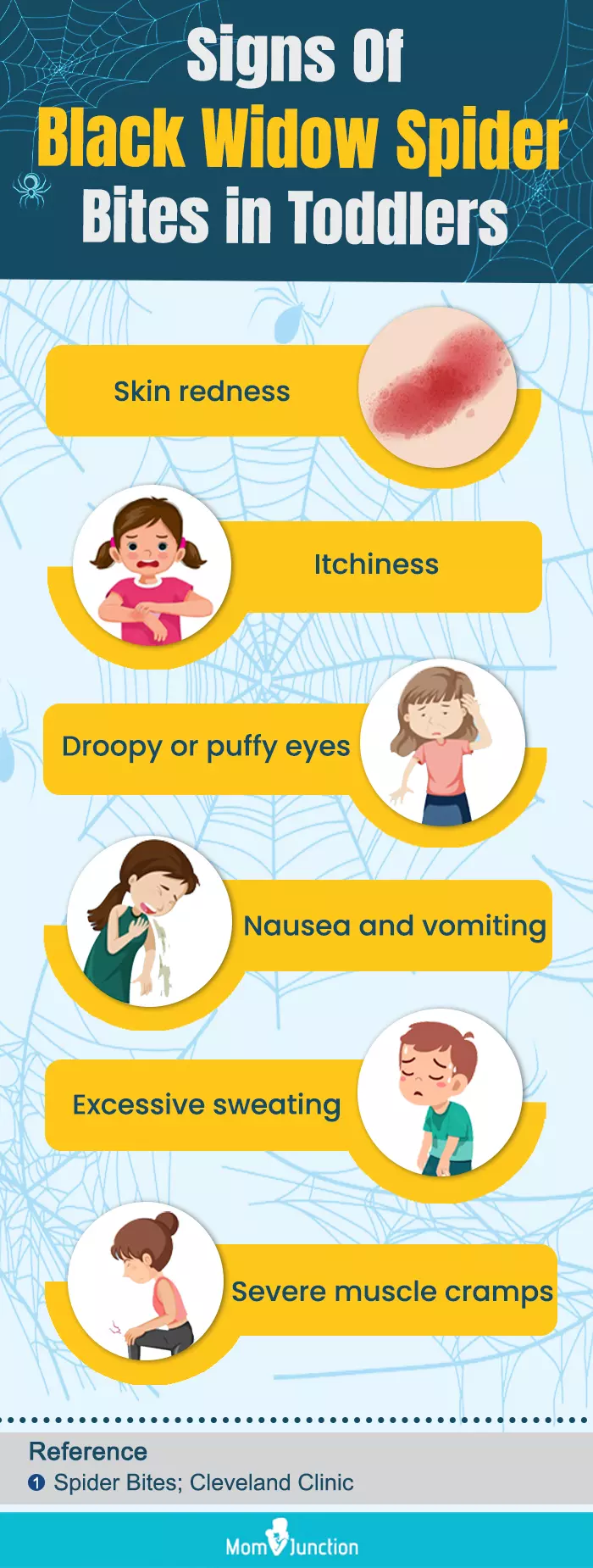 signs of black widow spider bites in toddlers (infographic)