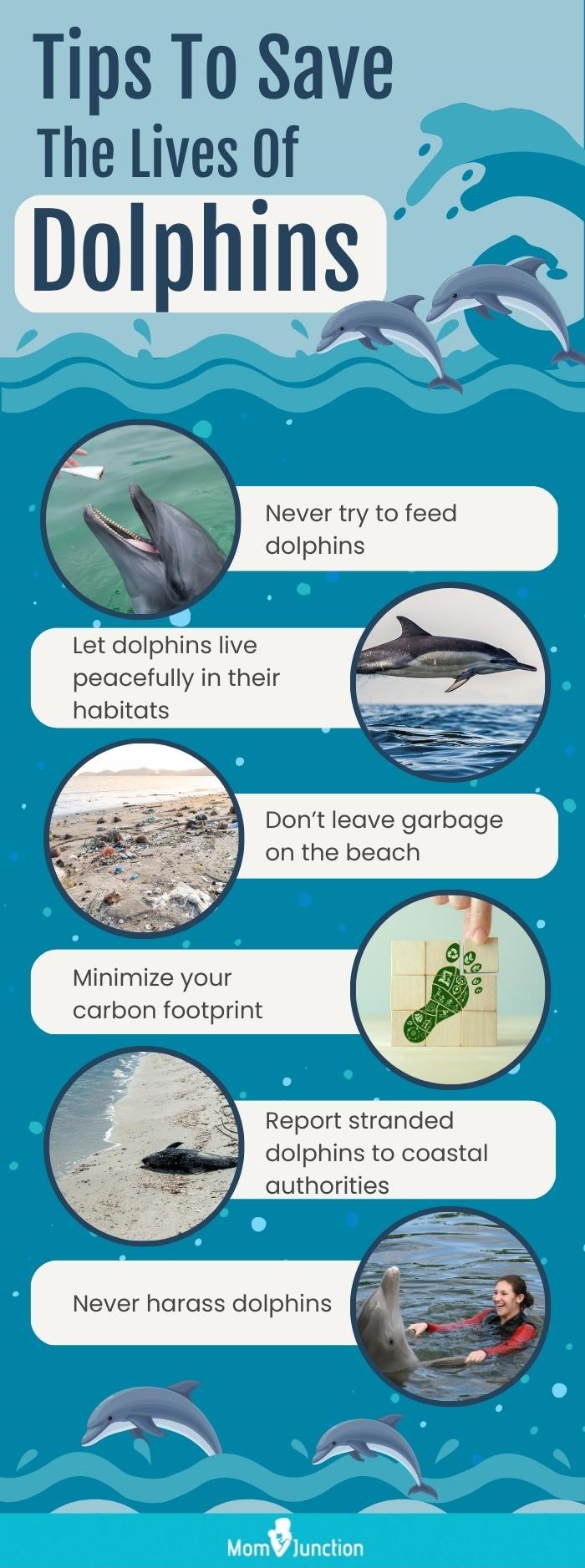 tips to save the lives of dolphins (infographic)