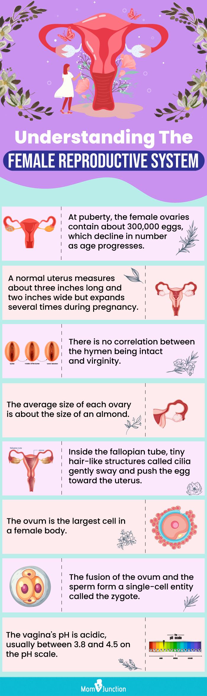 understanding the female reproductive system (infographic)