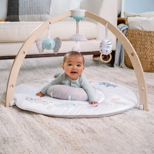 aden + anais Play And Discover Baby Activity Gym