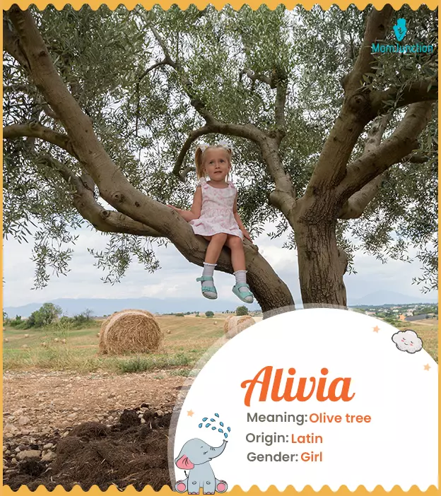 Alivia meaning Olive tree
