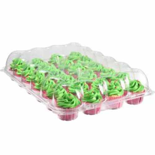 Katgely Cupcake Container