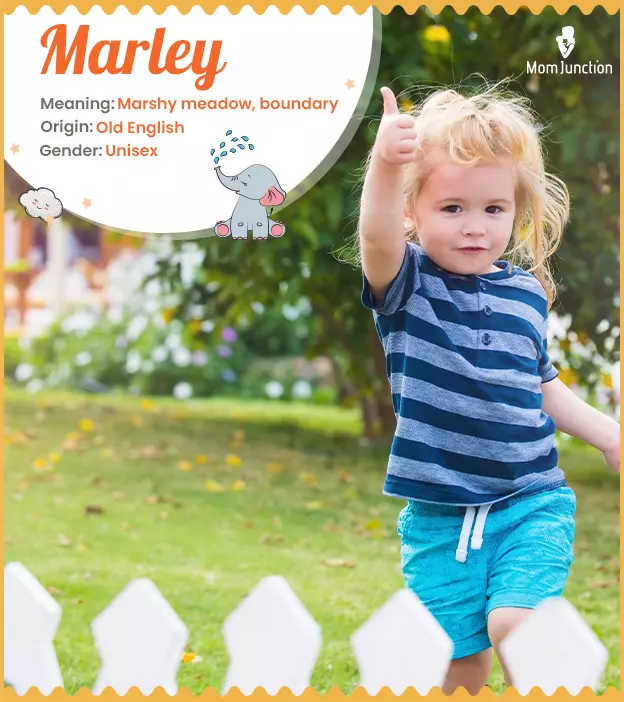 Marley Meaning, Origin, History, And Popularity | MomJunction