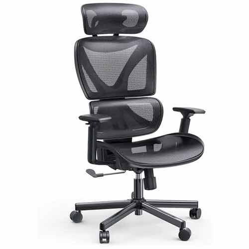 Nobelwell Ergonomic Office Chair